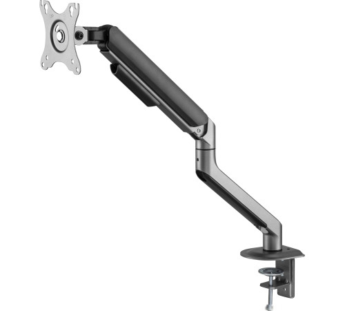 Кронштейн для монитора ErgoSmart Space Grey