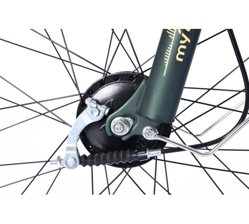 Электровелосипед MyWay Truck 1.0 500 24 15, темно-зеленый