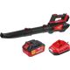 Садовая воздуходувка Wortex BB 1218-1 D XLT Set 2333193 с 1-им АКБ
