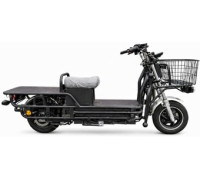 Электроскутер Terax Cargo ZG