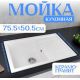 Кухонная мойка Saniteco Fama белый