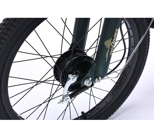 Электровелосипед MyWay Truck 1.0 500 24 15, темно-зеленый