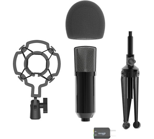 Микрофон Ritmix RDM-160