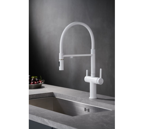 Смеситель Rose R458C