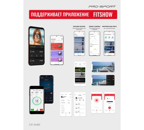 Электрическая беговая дорожка PRO-Sport CP-2480