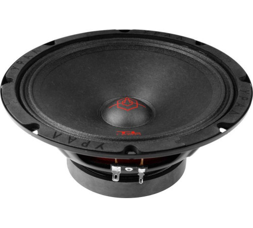 Среднечастотная АС Урал ТТ 200 Гром