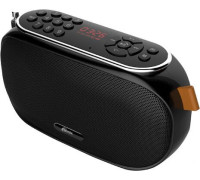Радиоприемник Ritmix RPR-008
