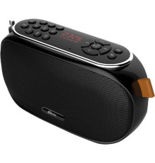 Радиоприемник Ritmix RPR-008
