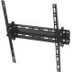 Кронштейн для телевизора Arm Media PLASMA-4 NEW