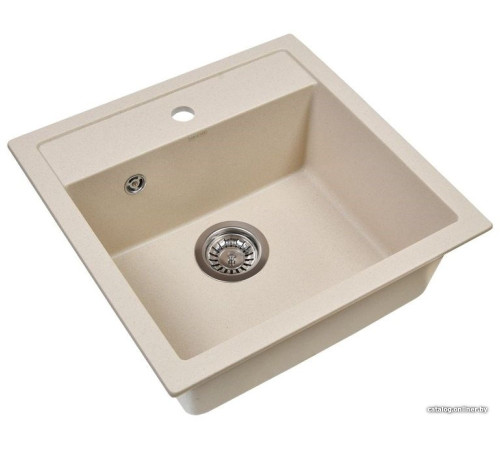 Кухонная мойка Wisent 510-30W с сифоном GER013