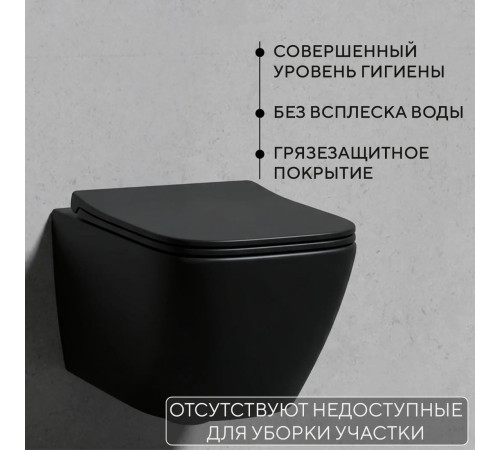 Унитаз подвесной Lauter Magdeburg 21103EC + AM.PM I012703.0201 черный матовый