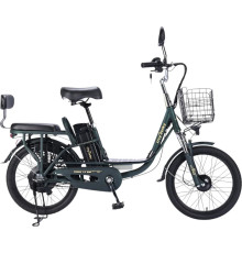 Электровелосипед MyWay Truck 1.0 500 24 15, темно-зеленый