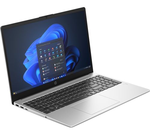 Ноутбук HP 250R G10 C91W6AT
