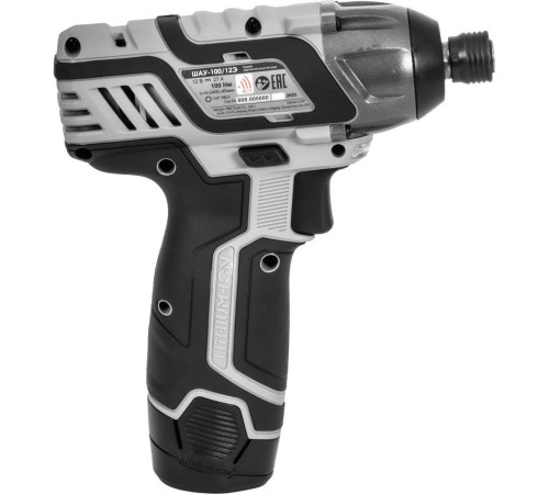 Винтоверт Интерскол ШАУ-100/12Э 808.2.2.70 с 2-мя АКБ, кейс