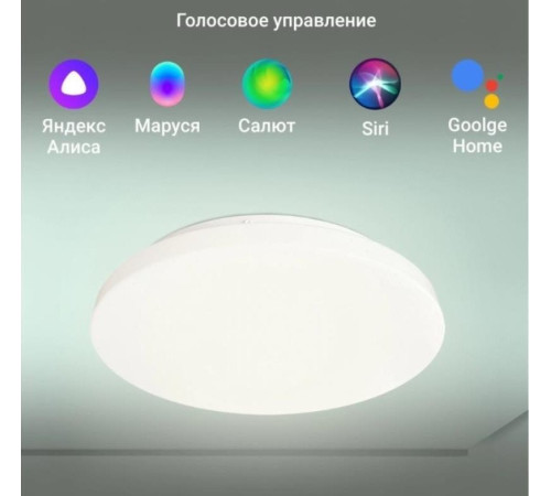Светильник Digma TopLight TL25