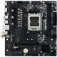 Материнская плата BIOSTAR B650MS2-E Ver. 6.0