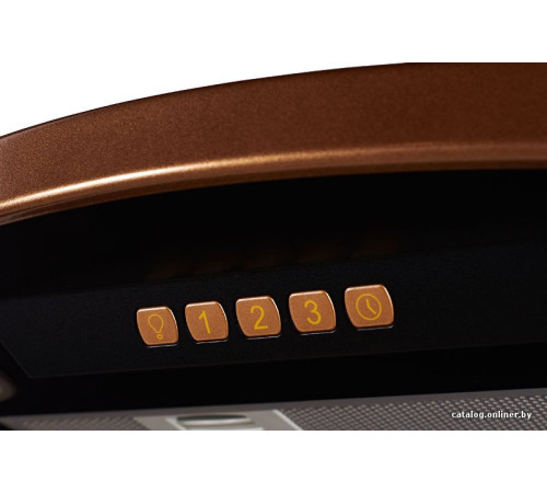 Кухонная вытяжка KUPPERSBERG Bona 60 B Bronze