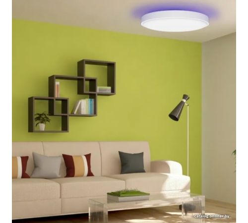 Светильник-тарелка Yeelight Arwen Ceiling Light 450S YLXD013