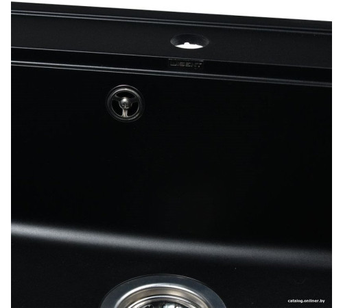 Кухонная мойка Wisent 600-26W с сифоном GER013