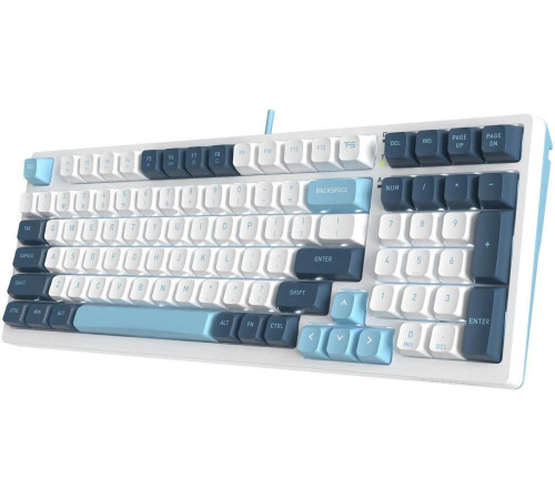 Клавиатура A4Tech Fstyler FS300 Panda Snowboarding