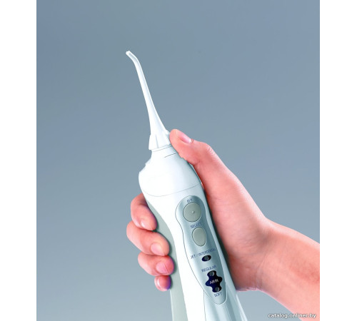 Ирригатор  Panasonic EW1411