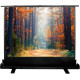 Проекционный экран CACTUS FloorExpert 68x120 CS-PSFLE-120X68