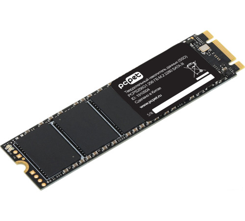 SSD PC Pet 256GB PCPS256G1