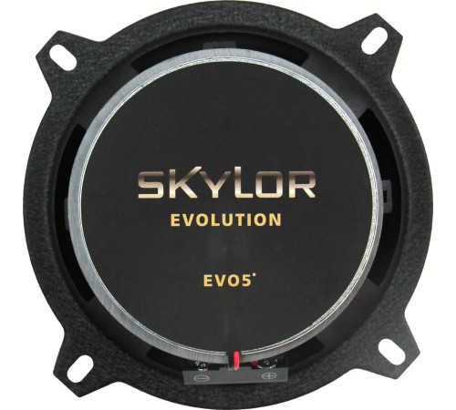 Коаксиальная АС Skylor EVO5