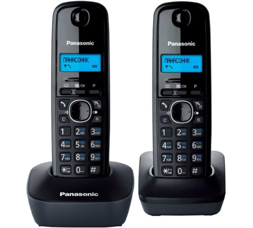 Радиотелефон  Panasonic KX-TG1612RUH