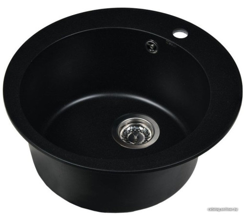 Кухонная мойка Wisent 510-25WR с сифоном GER013