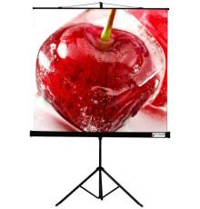 Проекционный экран ViewScreen Clamp 160x160