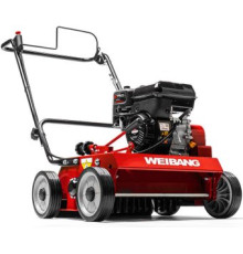 Скарификатор Weibang WB 486CRB