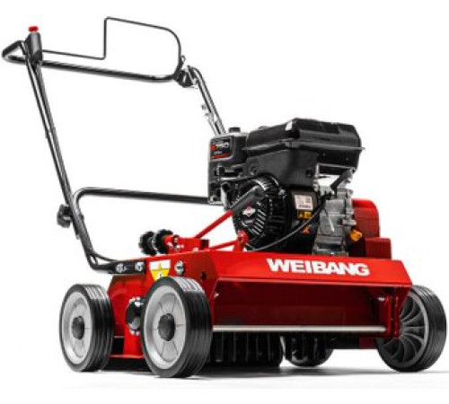 Скарификатор Weibang WB 486CRB