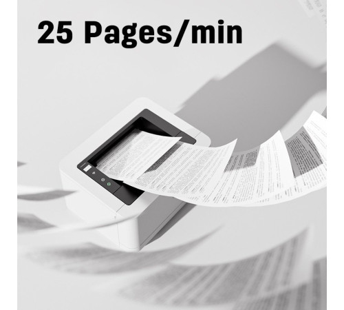 Принтер Deli P2000DNWs