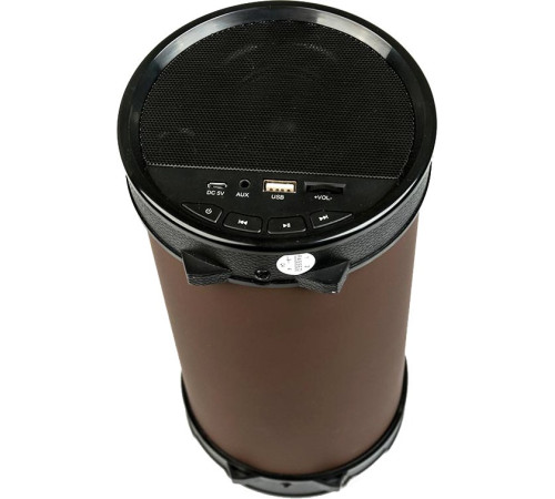 Беспроводная колонка Dialog AP-1000