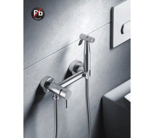 Смеситель с лейкой для биде Ledeme L75398-6