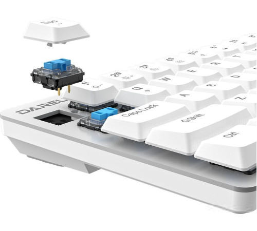 Клавиатура Dareu EK868 Kaihl Brown switch, White-Blue