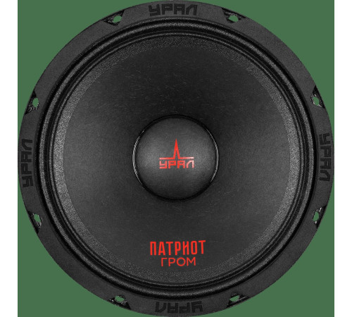 Среднечастотная АС Урал АС-ПТ 165.2 Гром