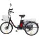 Электровелосипед AVM E-Alfa Trike 24 черный