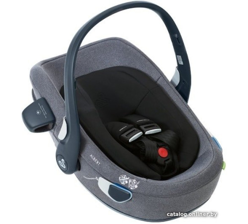 Детское автокресло Swandoo Albert без базы, fruits