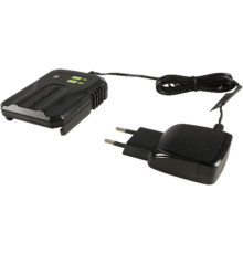 Зарядное устройство Greenworks G40UCM2M 40В