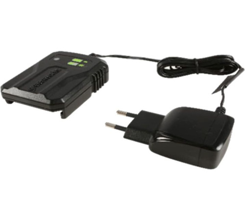 Зарядное устройство Greenworks G40UCM2M 40В