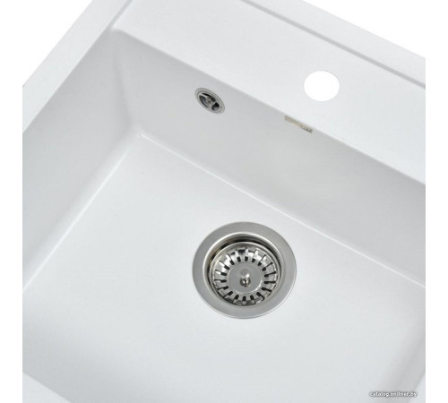 Кухонная мойка Wisent 510-28W с сифоном GER013