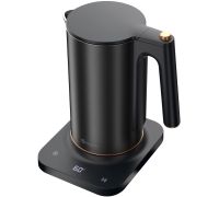 Электрический чайник Evolution KP22151L Thermocontrol