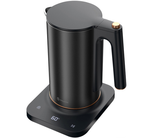 Электрический чайник Evolution KP22151L Thermocontrol