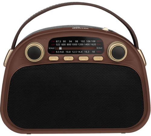 Радиоприемник Ritmix RPR-040 шоколадный