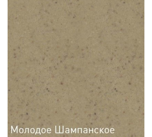 Кухонная мойка Zigmund & Shtain Rechteck 780 молодое шампанское
