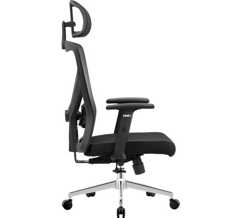 Офисное кресло Evolution ErgoLine 2 черный
