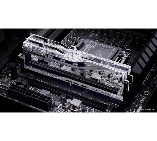 Оперативная память G.Skill Trident Z5 Royal 2x48ГБ DDR5 6400 МГц F5-6400J3239F48GX2-TR5S