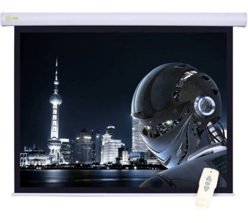 Проекционный экран CACTUS Motoscreen CS-PSM-124x221